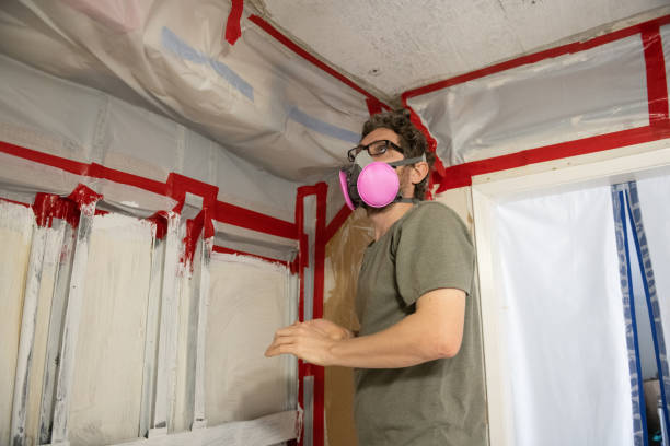 Mold Odor Removal Services in Holiday City South, NJ