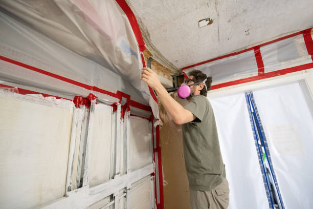 Best Air Quality Testing for Mold Spores  in Holiday City South, NJ